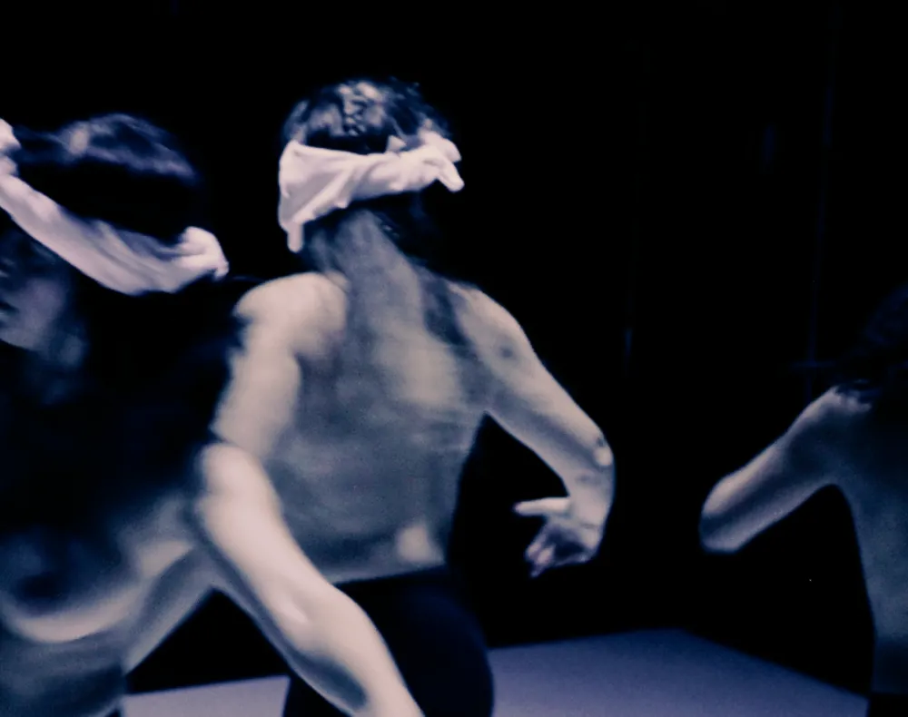 Photo du spectacle COQUELICOTS OU SHALL WE DANCE ?